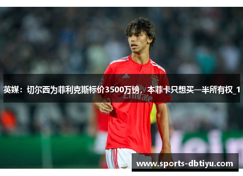 英媒：切尔西为菲利克斯标价3500万镑，本菲卡只想买一半所有权_1